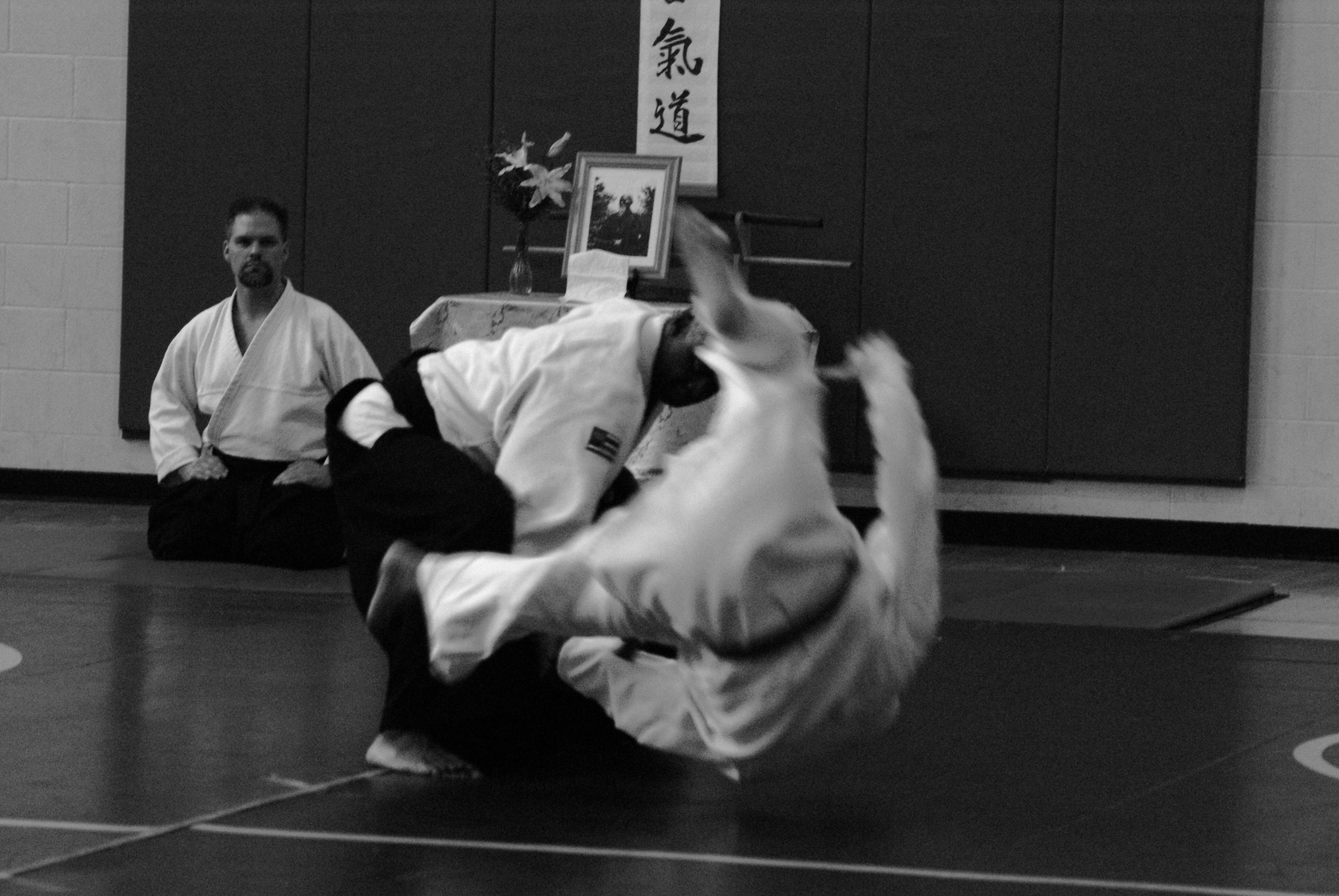 Aikido lineage training