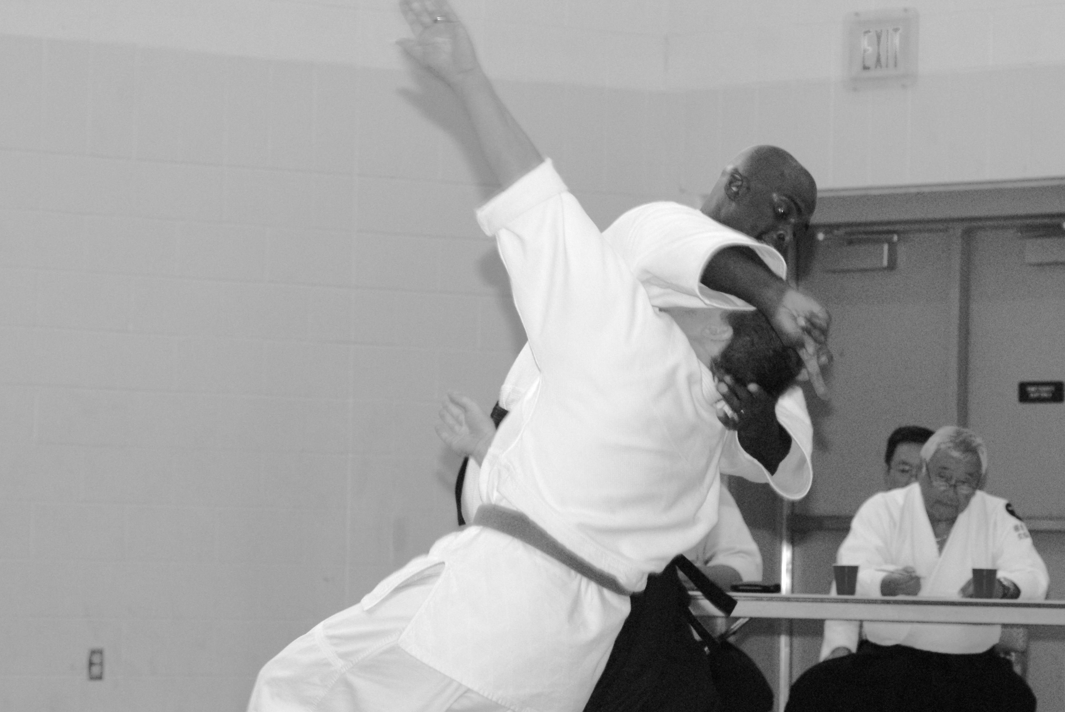 Aikido class training